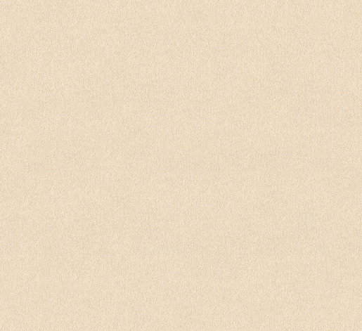 Marburger Tapete 31058 10,05 x 0,70 m Platinum 2025